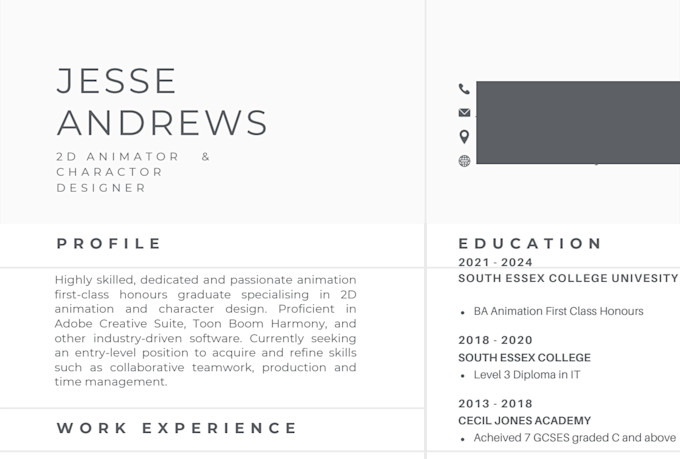 professionally edit and improve your CV or resume